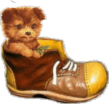 Gif animé coucou chien chaussure